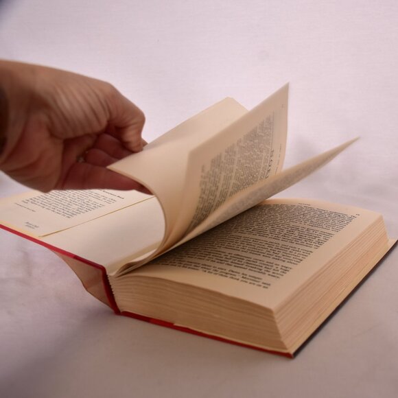 Lord of the Dance by Andrew M. Greeley (1984, Hardcover) - Picture 10 of 11